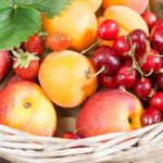 Agriculture : la Tunisie affiche une hausse de 4,6 % de sa production de fruits à noyau