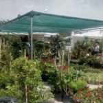 Ben Arous : Une vingtaine d’exposants à la foire aux fleurs d’Ezzahra