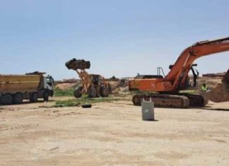 Manouba : destruction de 5 hectares de tomates irriguées avec des eaux usées à Tebourba