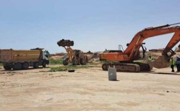 Manouba : destruction de 5 hectares de tomates irriguées avec des eaux usées à Tebourba