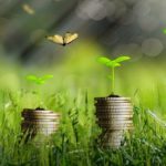 Économie durable en Tunisie : 20 millions de dinars pour financer les projets écologiques Economie Verte