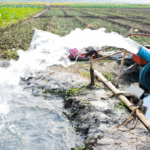 Jendouba : Reprise de l’opération de pompage des eaux d’irrigation