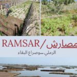 FTDES : Appel à sauvegarder les cultures ramli de Sidi Ali Mekki, patrimoine mondial menacé