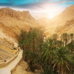 Nefta : 8,1 MD investis pour moderniser la zone irriguée d’Oued Ertam