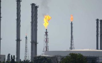 Transition bas carbone : l’IACE ouvre le débat sur un marché carbone en Tunisie