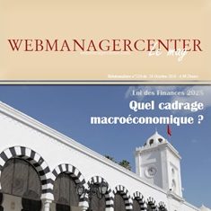 WMC LeMag 210