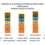 La Tunisie, leader de l’huile d’olive bio : 208 000 tonnes exportées en 2022 Huile d'olive
