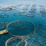 ADAPT Investissements : un appel à propositions de 8 millions d’euros pour moderniser agriculture et pêche en Tunisie