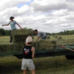 Tunisie : vers l’intégration de l’agriculture familiale dans le plan de développement 2026-2030 agriculture