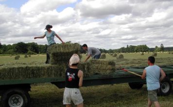 agriculture