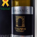 Toukaber, l’huile d’olive tunisienne qui brille sur la scène mondiale
