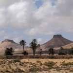 Remada dévoile ses richesses lors de la 3ème édition des journées du tourisme saharien Touisme