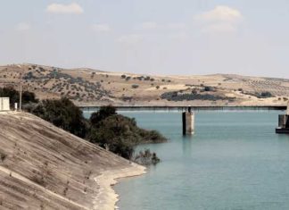 Stress hydrique en Tunisie : vers un modèle agricole basé sur les énergies renouvelables selon Greenpeace MENA
