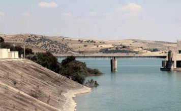 Stress hydrique en Tunisie : vers un modèle agricole basé sur les énergies renouvelables selon Greenpeace MENA