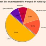 Tunisie : Quels secteurs attirent le plus les investisseurs français ? IDE France Tunisie