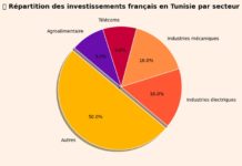 IDE France Tunisie