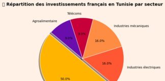 IDE France Tunisie