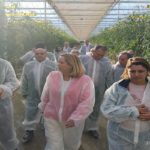 Partenariat tuniso-néerlandais : le projet Farhet El-Hicha booste l’emploi et la production agricole à Gabès