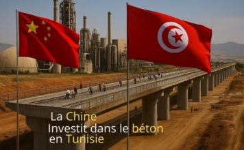 Tunisie-Chine : vers un renforcement des échanges économiques ? Chine