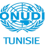 L’ONU veut corriger la carte du monde et redonner à l’Afrique sa juste dimension