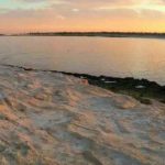 Djerba : L’UICN lance un appel à projets pour un tourisme bleu durable