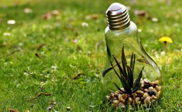 Marché financier : un colloque du CMF sur la transparence ESG et l’ajustement carbone