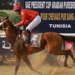 Coupe du Président des Émirats pour chevaux arabes : la BTE renouvelle son soutien aux courses hippiques de Ksar Saïd (Photos) BTE