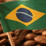 Tarifs douaniers américains : un coup dur pour le marché mondial du café, selon les exportateurs brésiliens
