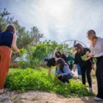 Entrepreneuriat social : Lab’ess ouvre les candidatures pour son programme d’incubation 2025