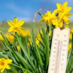 Météo Tunisie : Un ciel partiellement nuageux sur tout le pays