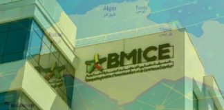 BMICE