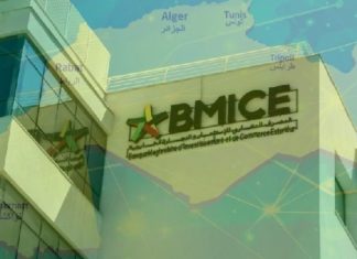 BMICE