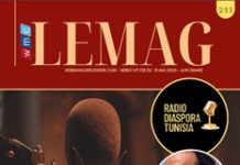WMC LEMAG 233
