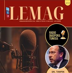 WMC LEMAG 233