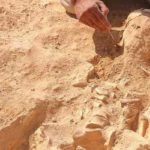 Archéologie : un site romain inédit datant du IIIe au VIIe siècle découvert à Kasserine