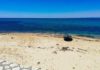 Plages tunisiennes : 49 zones à éviter cet été, vérifiez avant de plonger ! Plages Tunisie