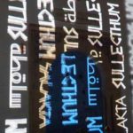 Patrimoine tunisien : l’INP et l’AMVPPC mobilisés pour une fouille de sauvetage à Salakta