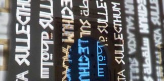 Patrimoine tunisien : l’INP et l’AMVPPC mobilisés pour une fouille de sauvetage à Salakta