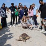 TAV Tunisie s’engage pour la protection des tortues marines à Hergla