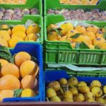 Sidi Bouzid : lancement des travaux d’aménagement du mégaprojet agroalimentaire SOMAPROC