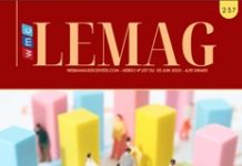 WMC LEMAG 237