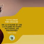 Parc national de Dghoumes : plus de 90 espèces recensées dans un nouveau catalogue biodiversité