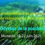 Monastir accueille le Festival International de Photographie Sous-Marine “L’Odyssée de la Posidonie”