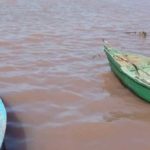 Harmful Algal Bloom : des microalgues envahissent la baie de Monastir et la plage de Sidi Ali Mekki