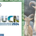 IUCN Méditerranée 2024 : lancement d’un programme eau et biodiversité en Tunisie