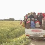 Habib Ayeb prépare “Vies de Femmes”, un documentaire en hommage aux actrices de l’agriculture en Tunisie