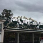 Réouverture de la Bibliothèque Verte à Tunis : ateliers, expo et musique au cœur du parc du Belvédère