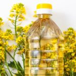 SFBT : Vers l’Acquisition Potentielle de Carthage Grains Huile Colza