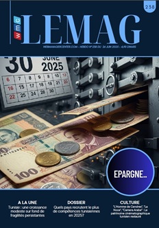 WMC LEMAG 238