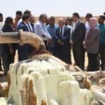 Tunisie : appel d’offres pour un puits à Tozeur face à la pénurie d’eau